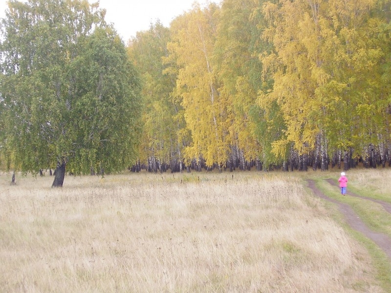 Городской оазис...