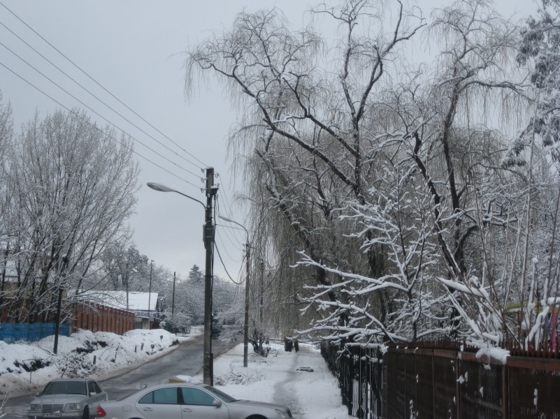 зимний - городской пейзаж