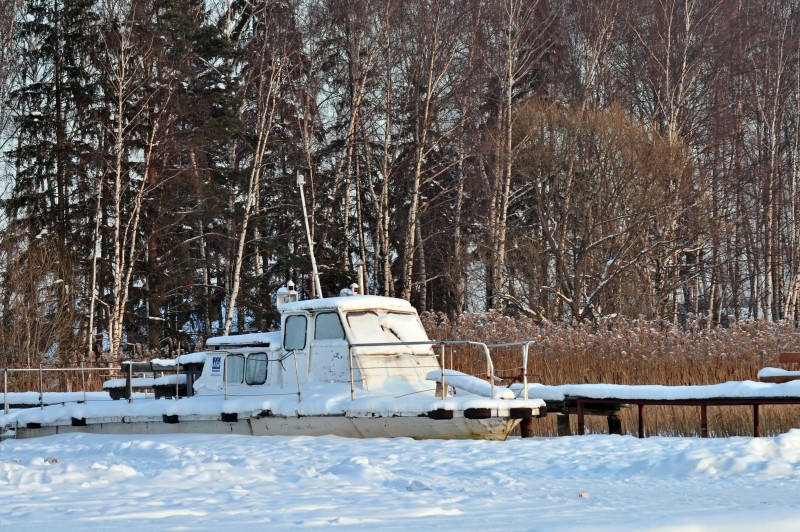 отпуск всегда зимой....