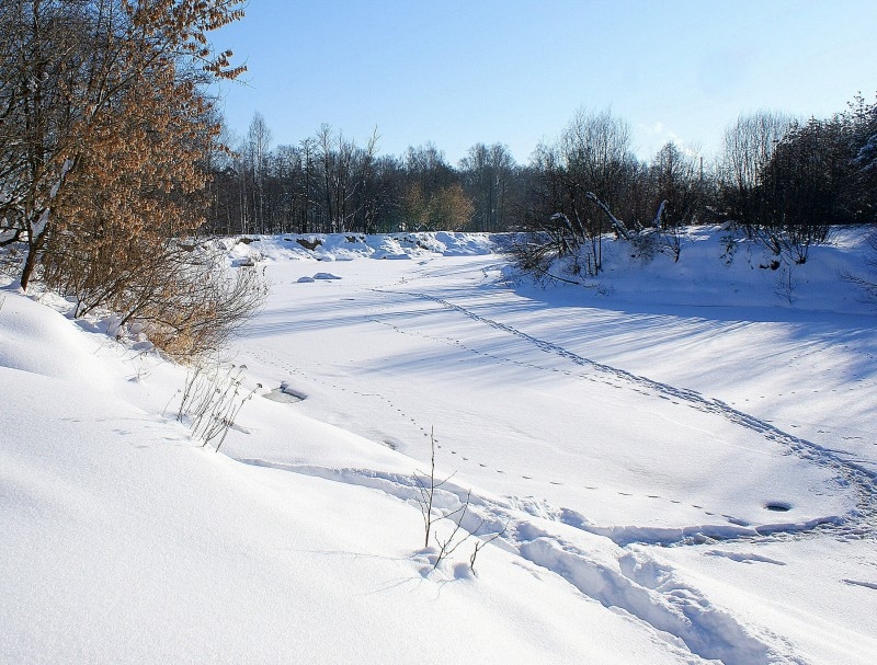 Рыбаки прошли