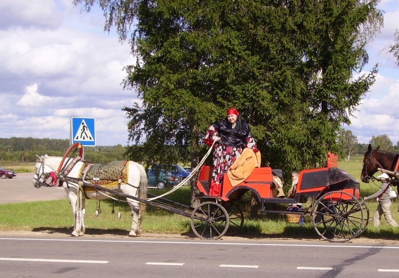 Ну, проходи, пешеход...