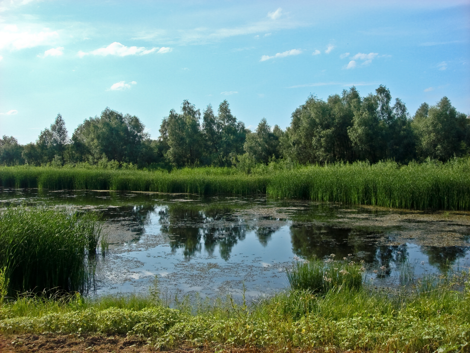 Волжский край