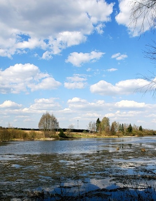 Подмосковье