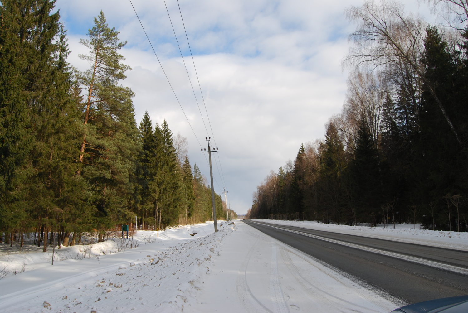 лес, дорога,зима