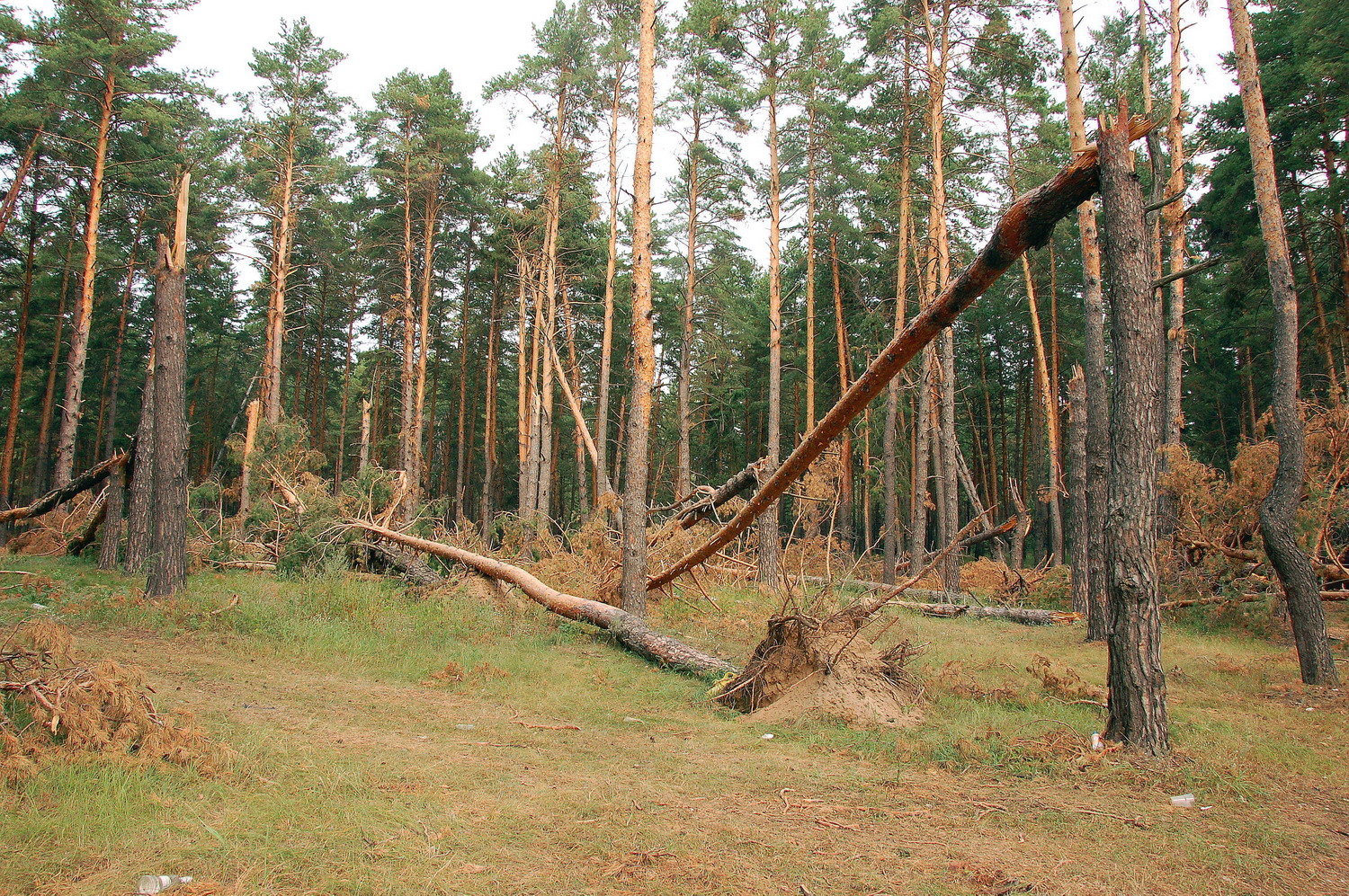 После урагана