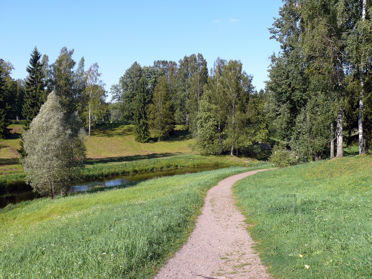 Лес, дорога и река