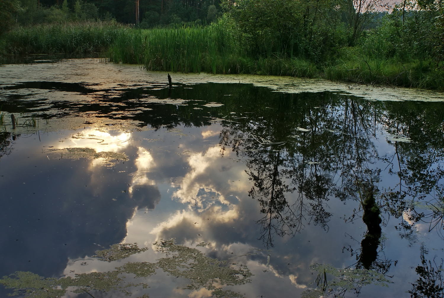 Зеркало для инопланетян