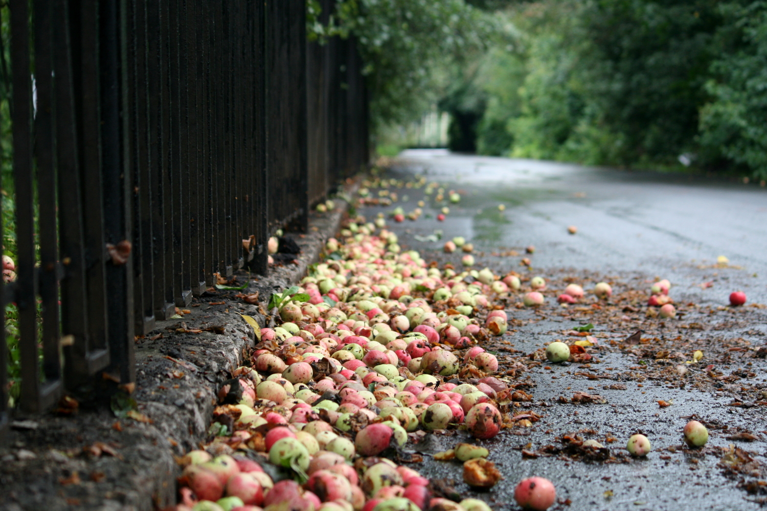 Яблочная осень