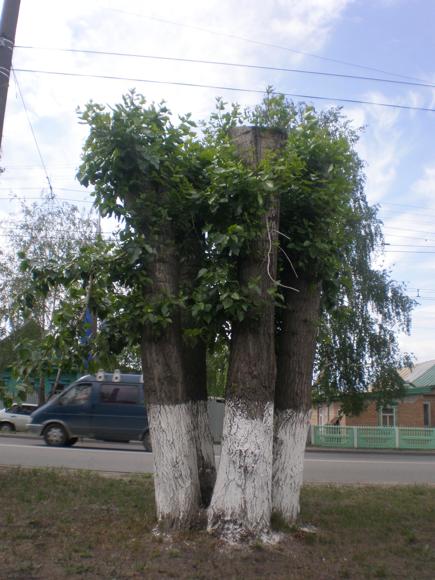 а жить, так хочется  . ребята