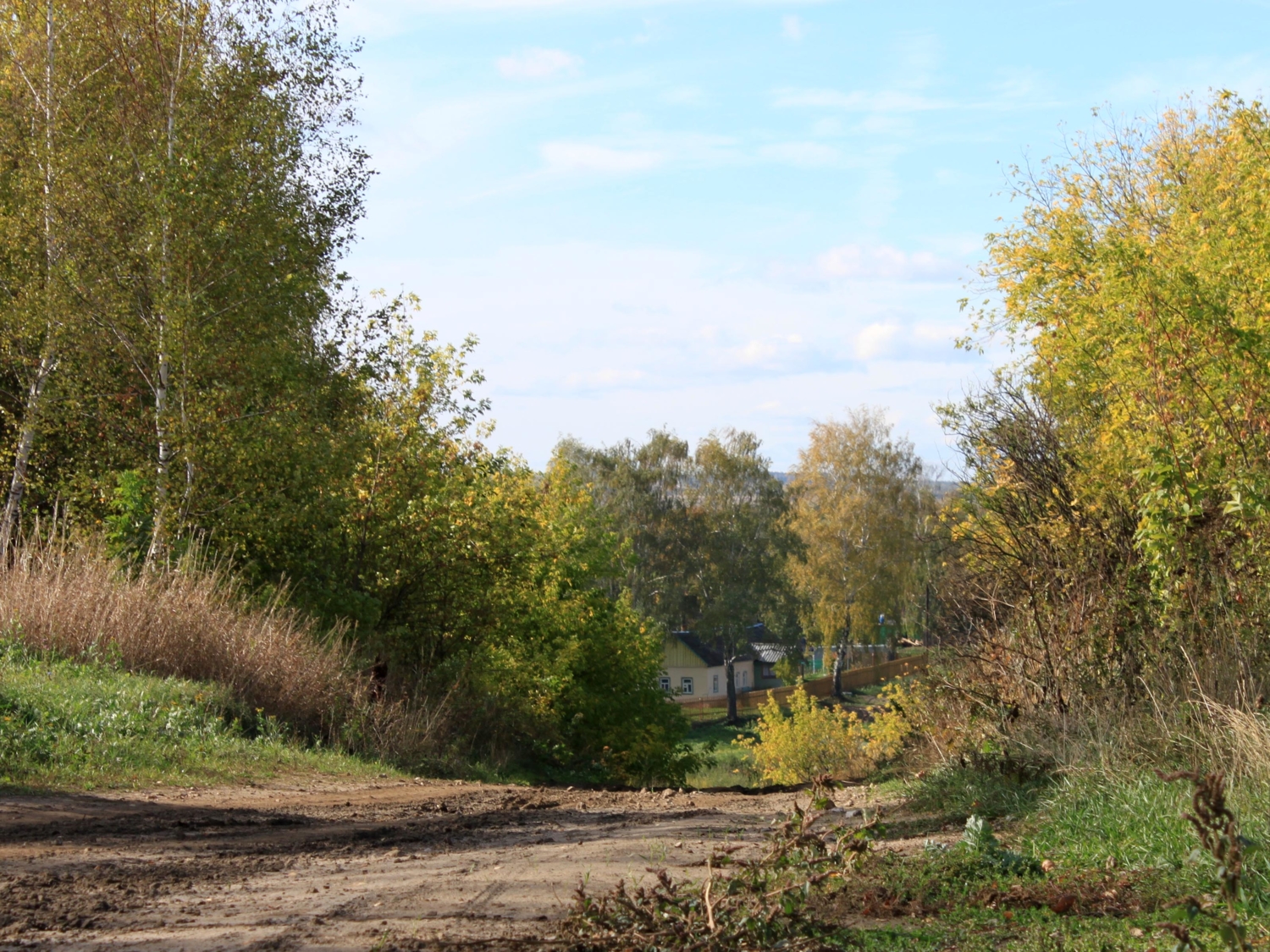 Дорога в деревню