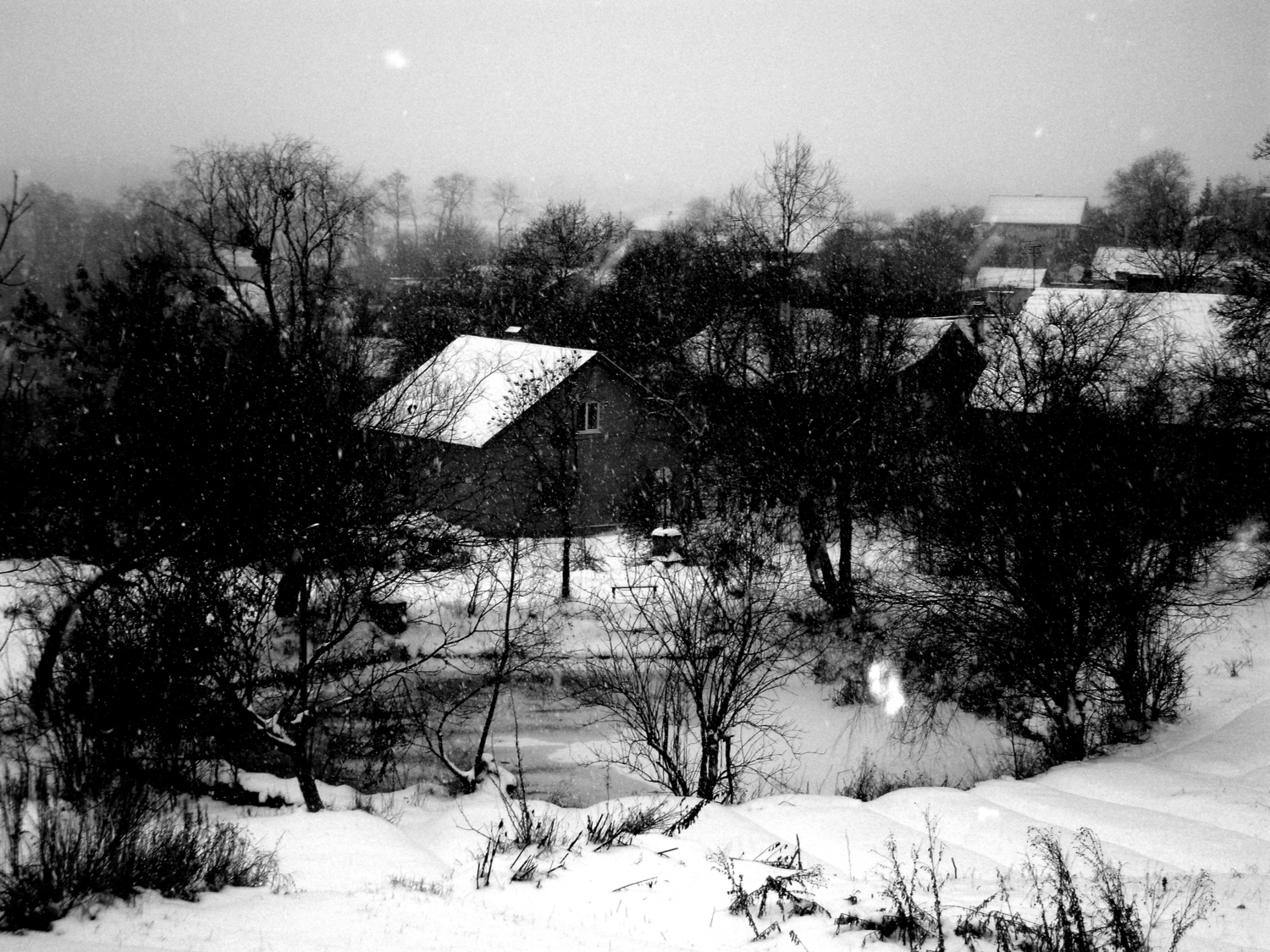 зима в селе