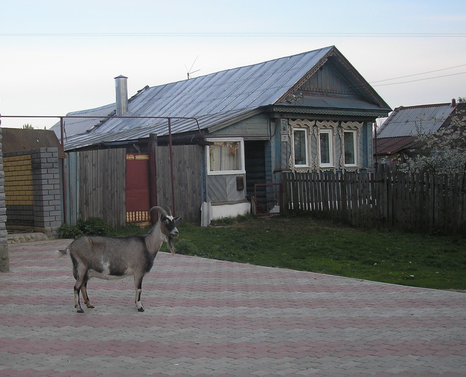 Возле своих ворот.