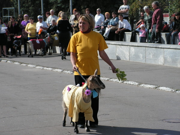 Дама с собачкой