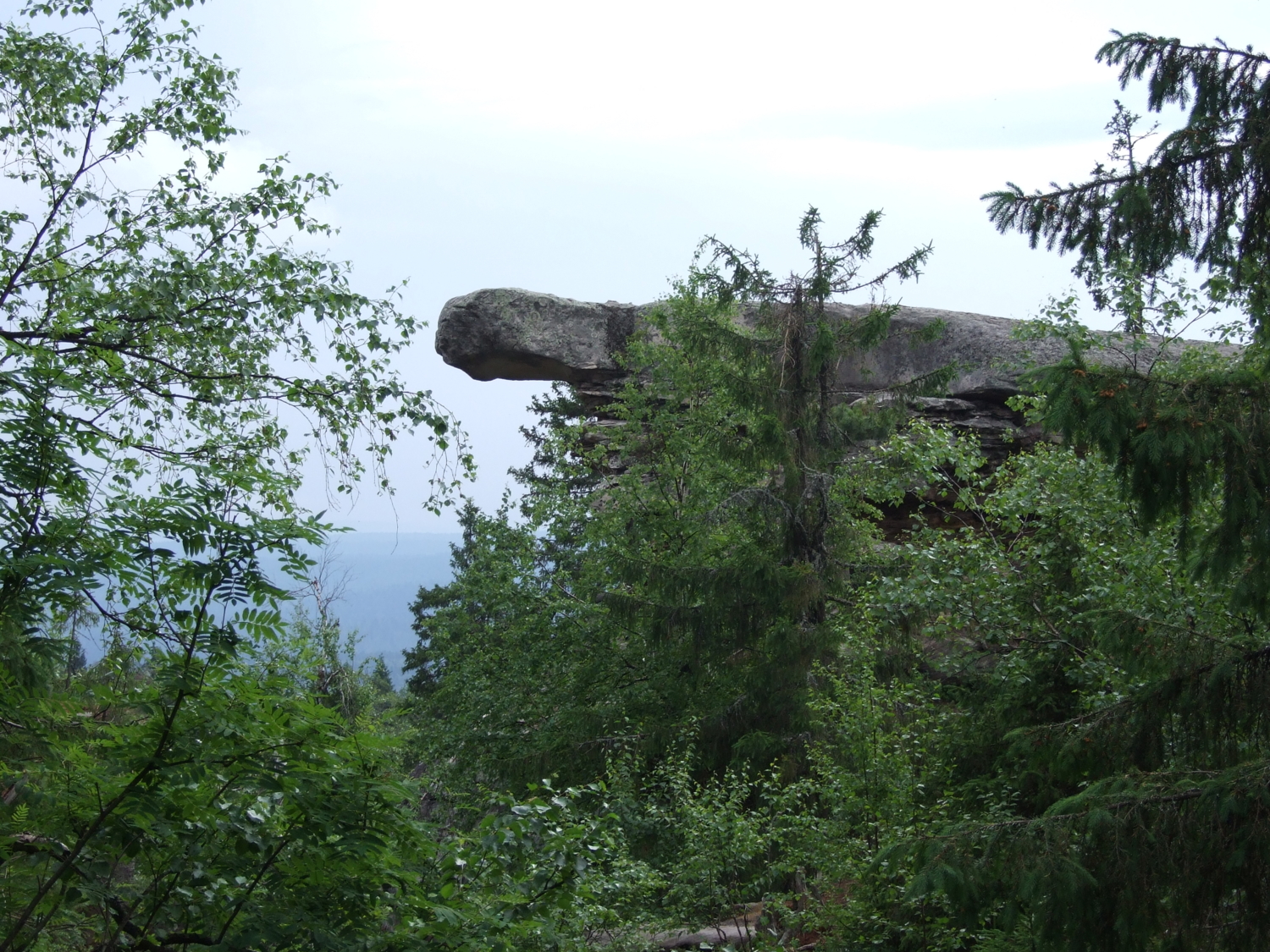 Каменная черепаха