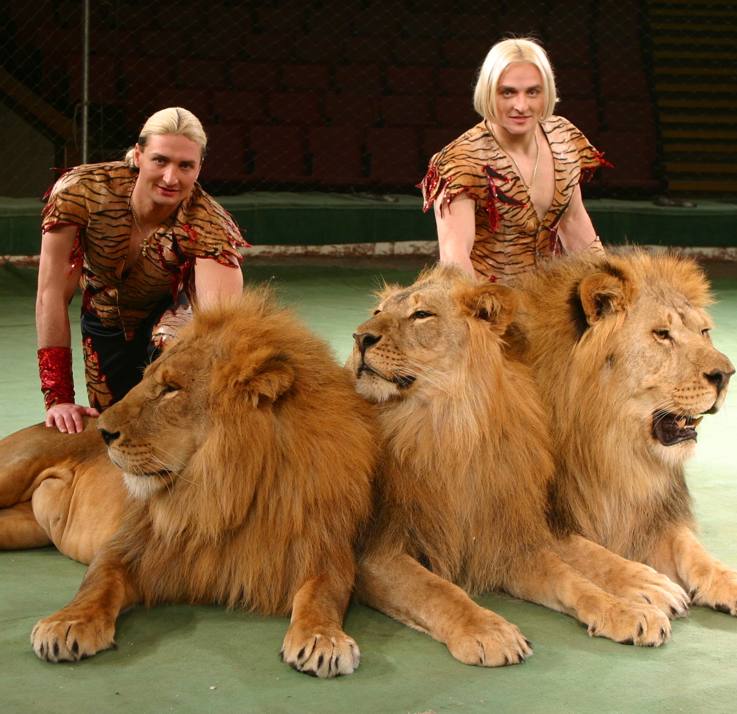 Три красавца льва и дресировщики