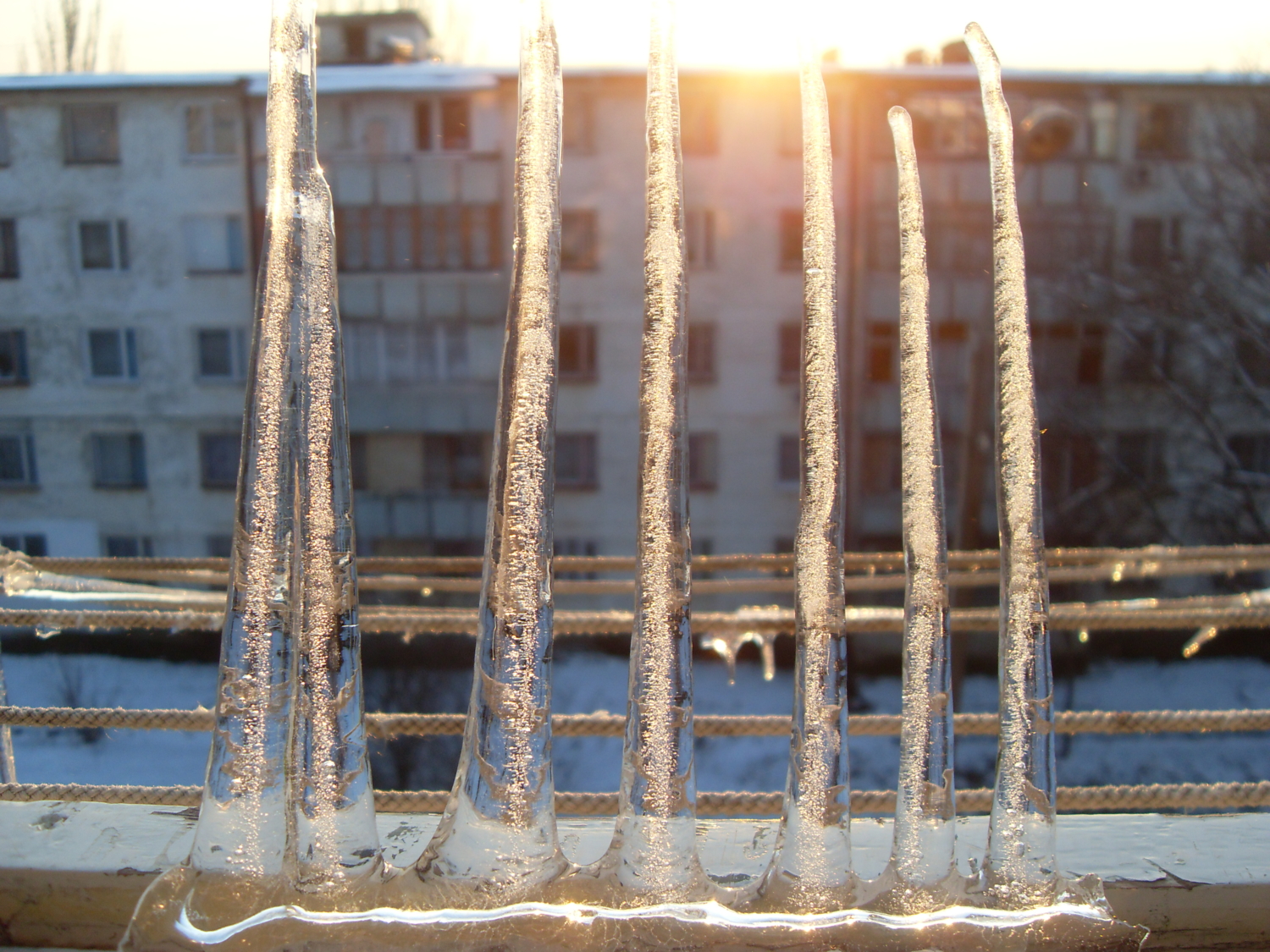 Вверх ногами.