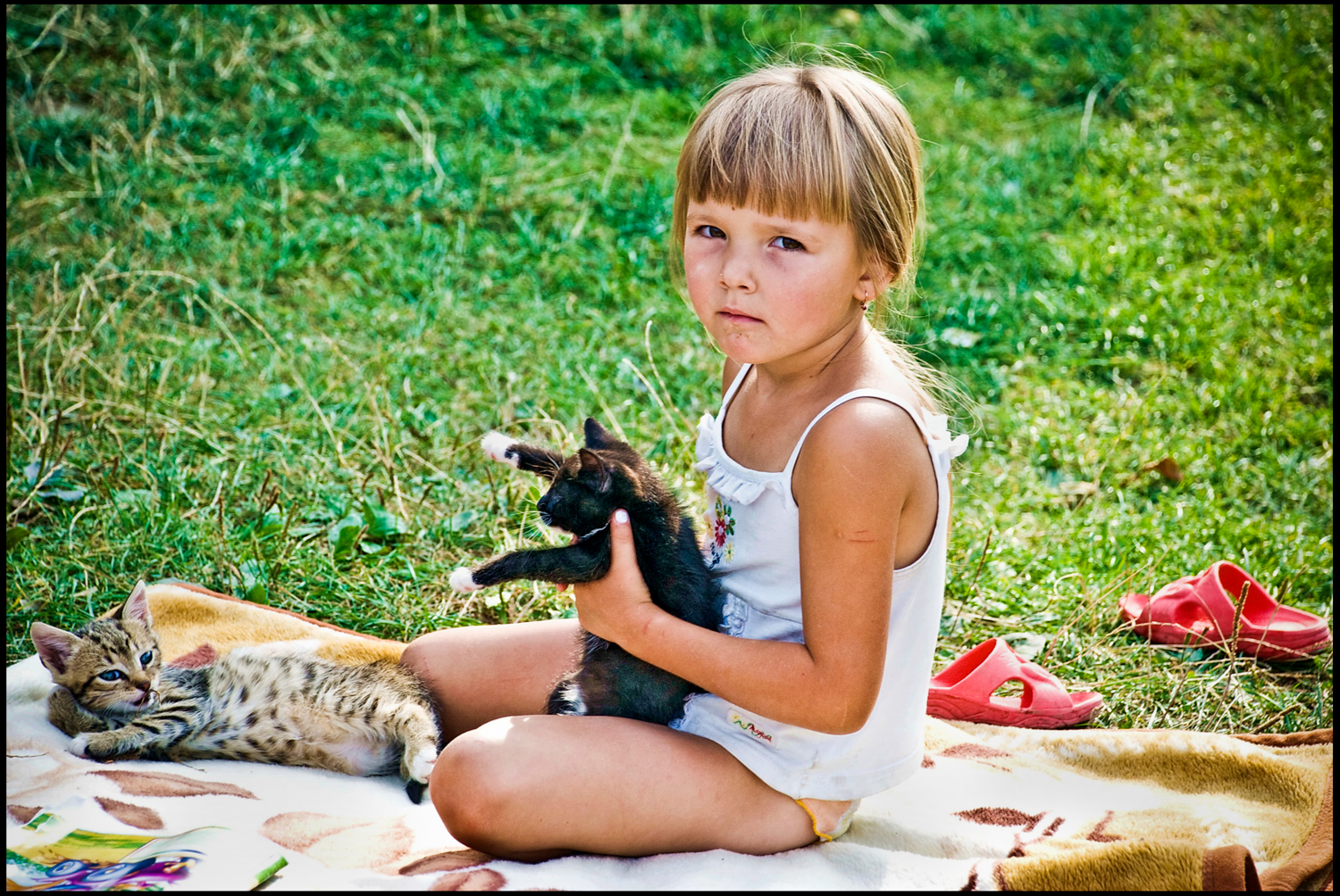 портрет с котятами и тапочками