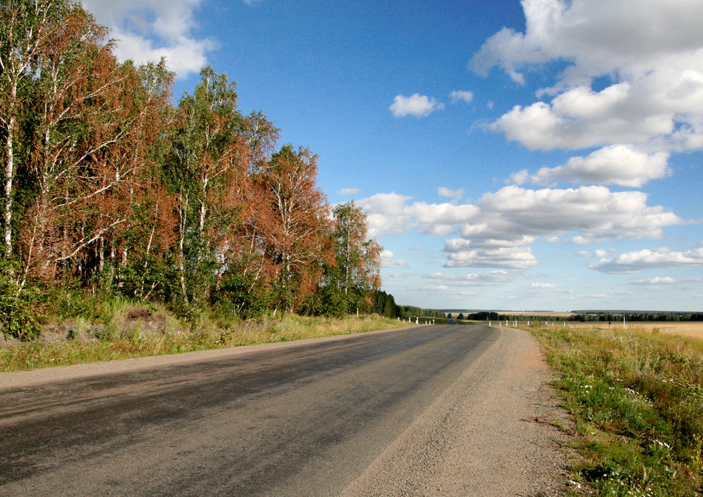 По дороге в деревни