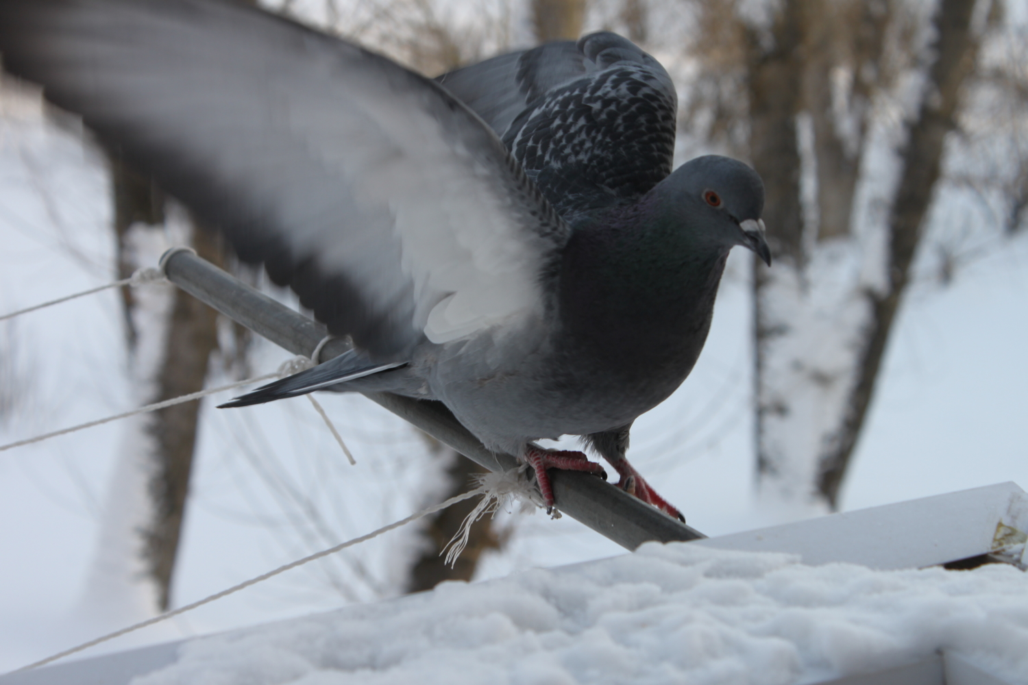 В полёт...