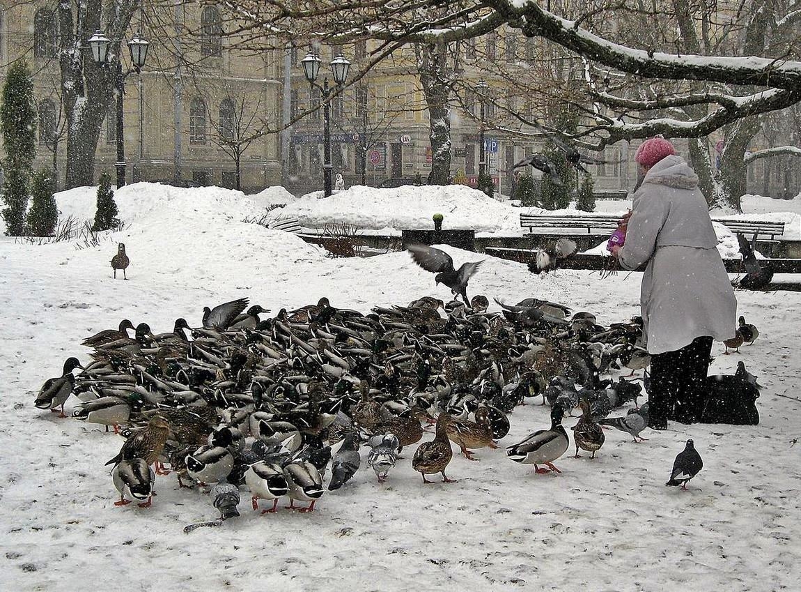 Всем хватит...