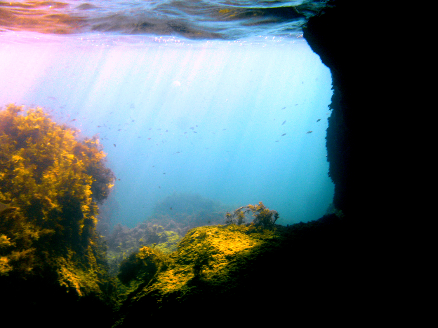 Грот подводный
