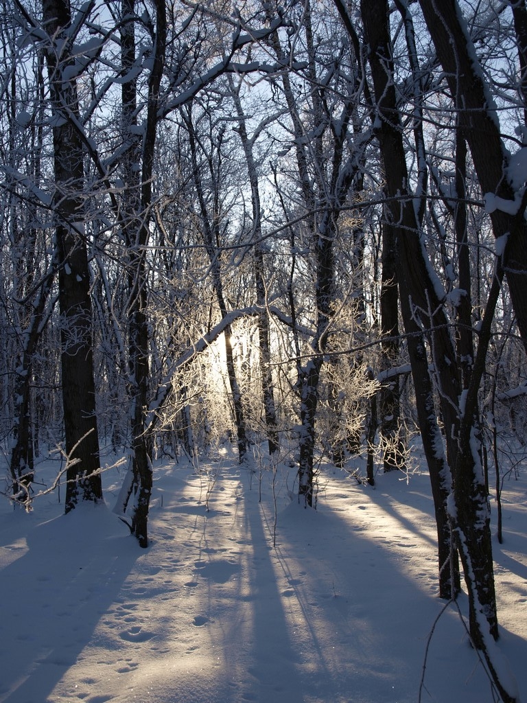 На закате