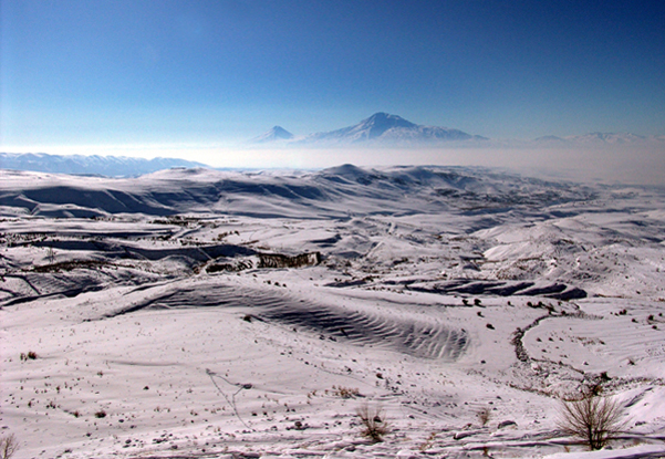 ARARAT