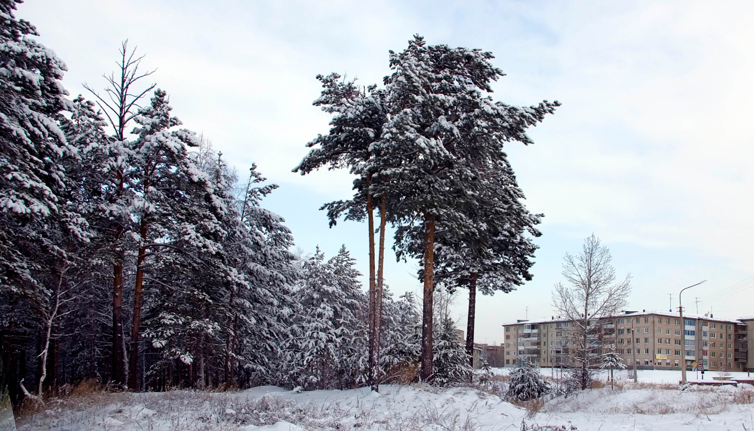 Саянск окраина