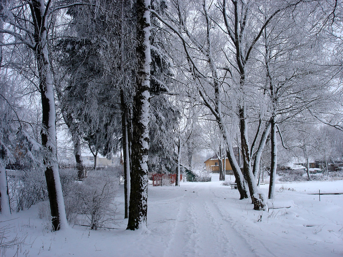 Аллея к дому