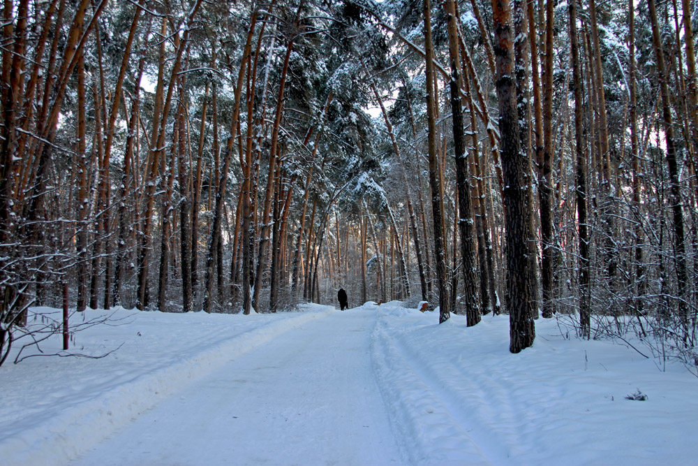 Прогулка