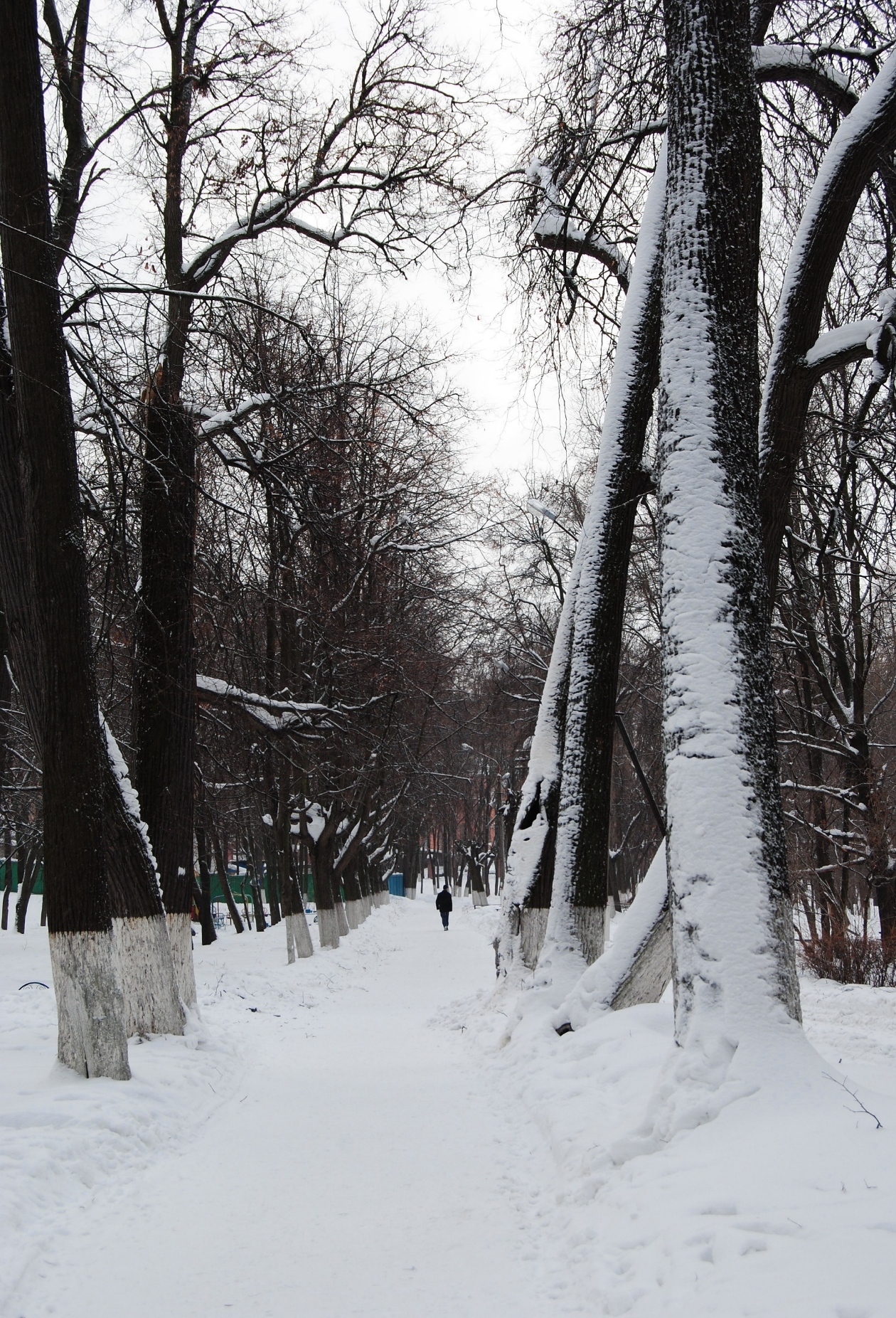 В парке...