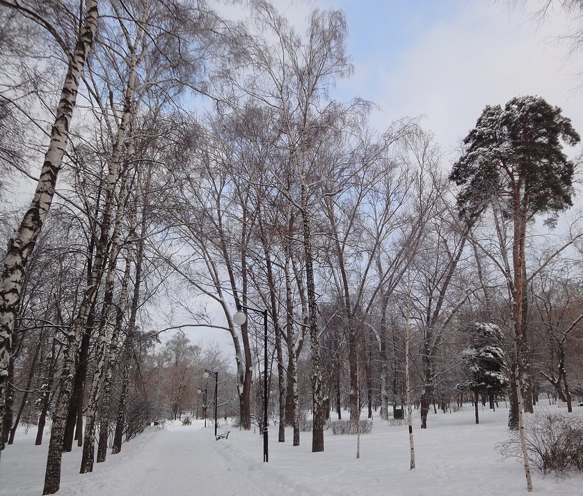 Морозно. Снежно. Нежно.