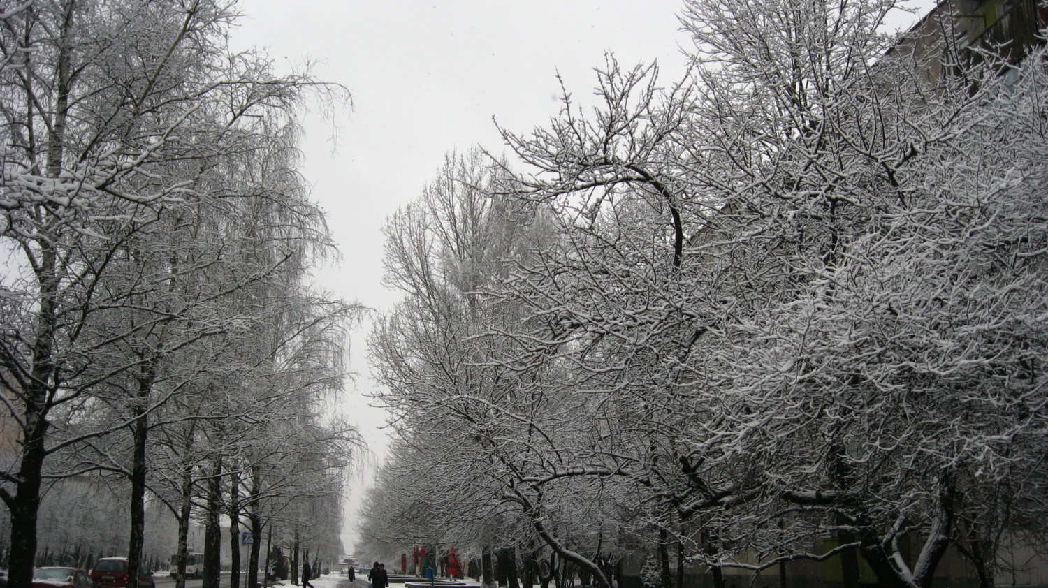 Аллея в городе