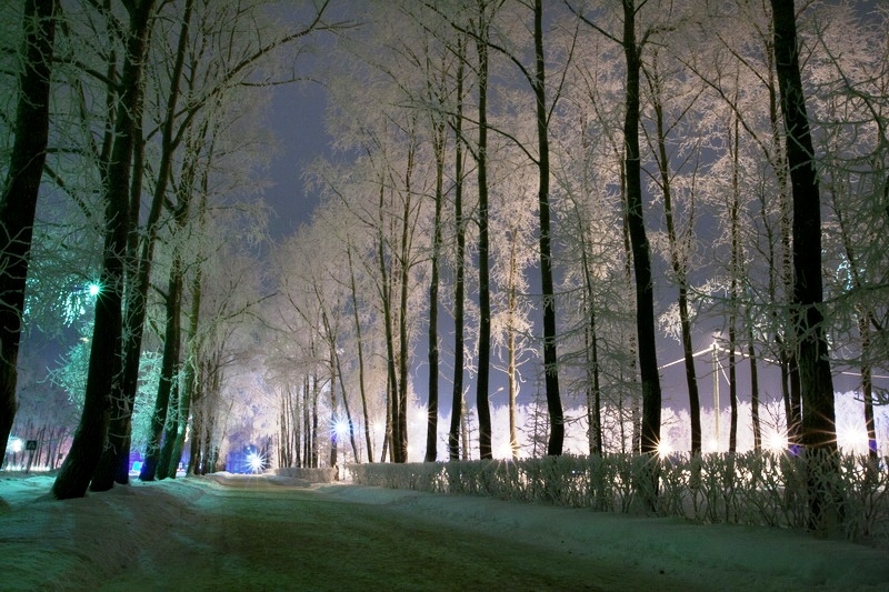 Серебряное кружево