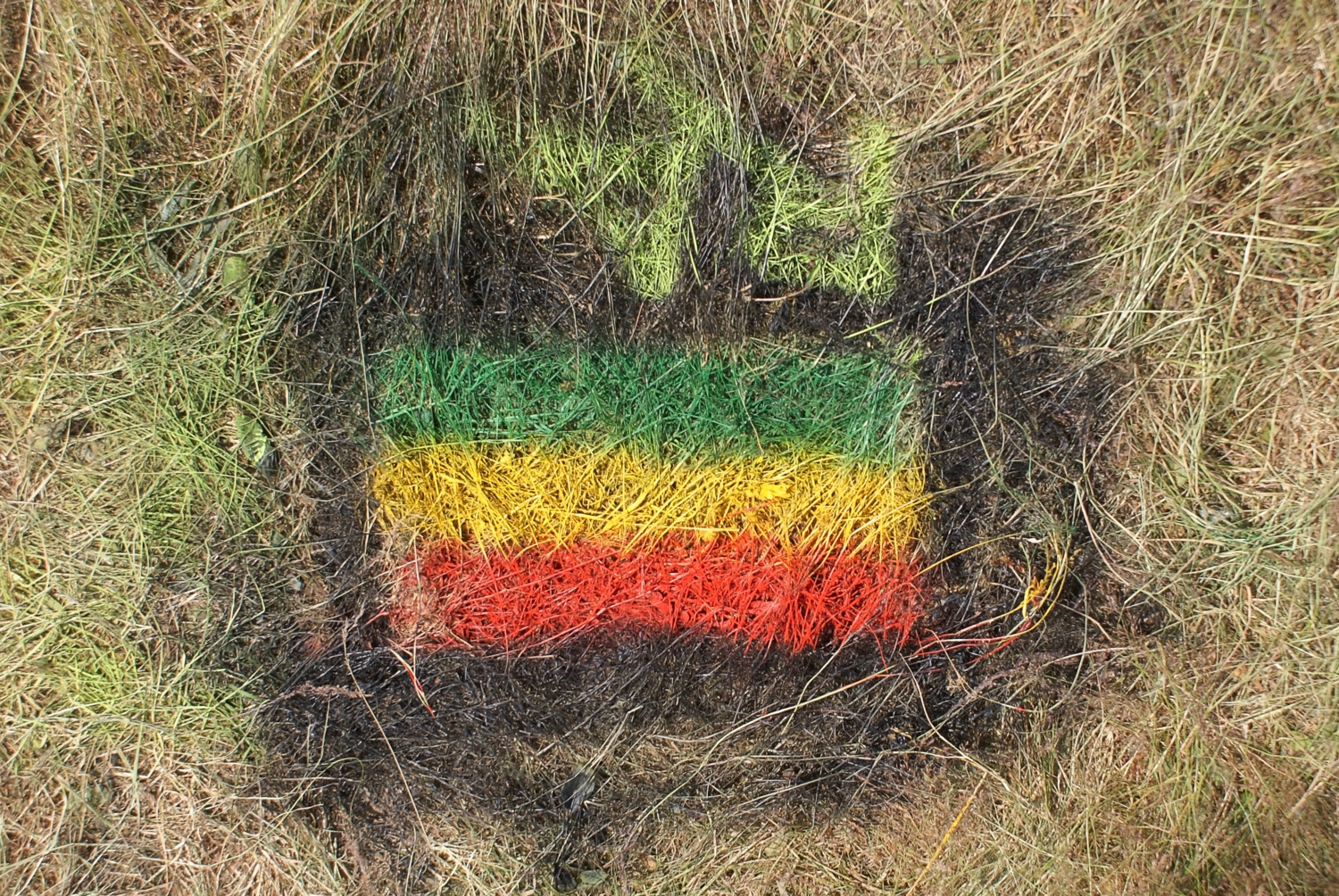 Эфиопии флаг