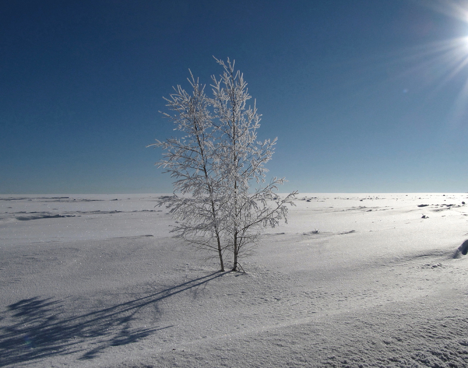 В снежном плену