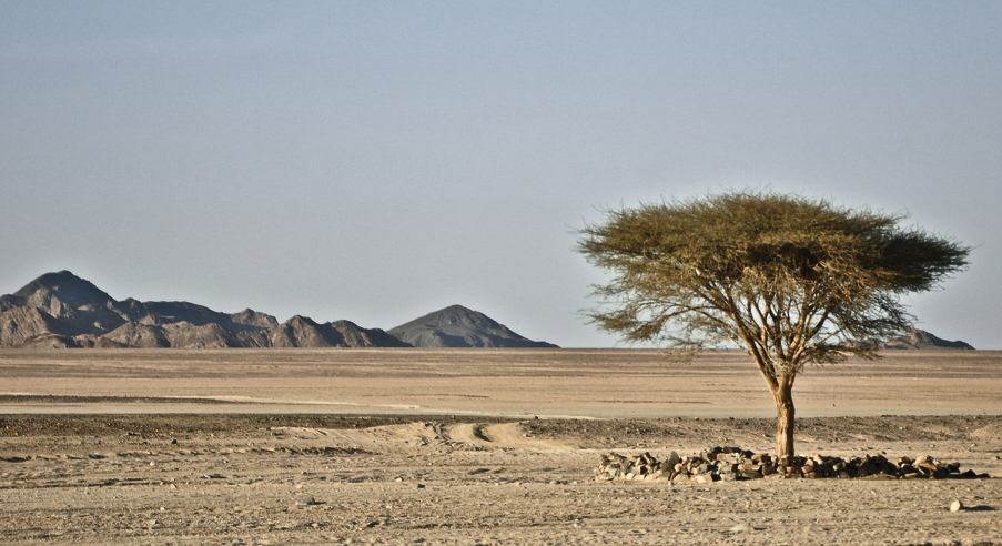 Одиночество в пустыне