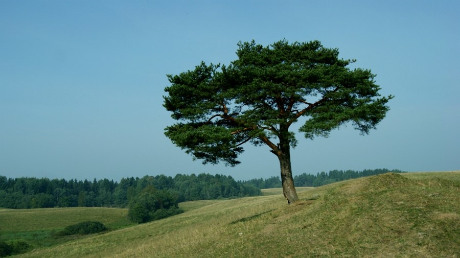 На склоне