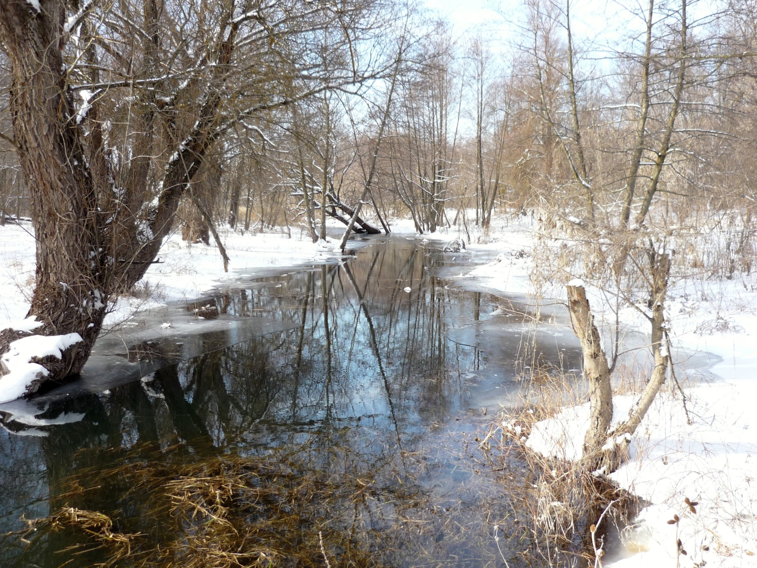 Первая вода