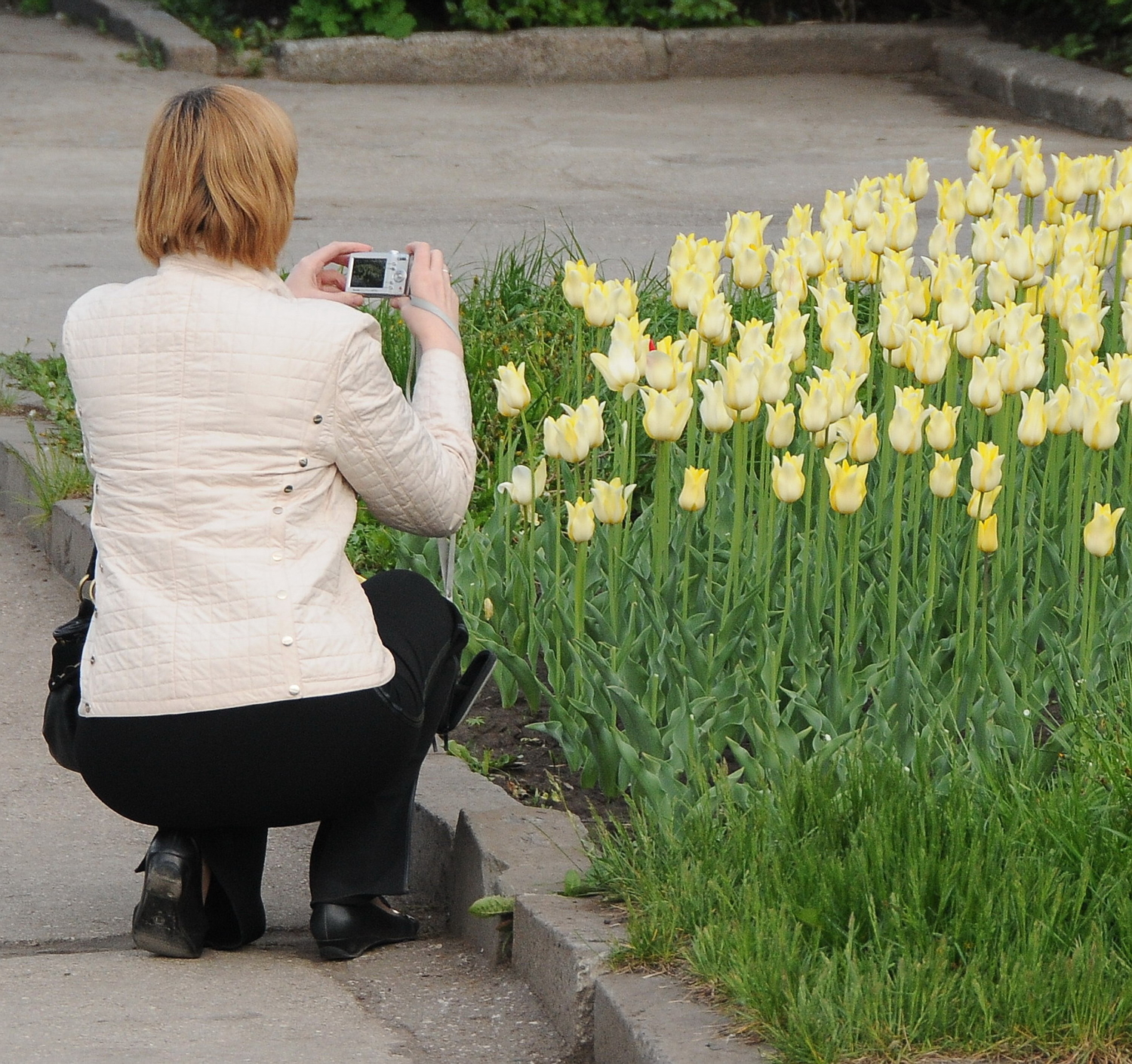 Фотоналет :-)