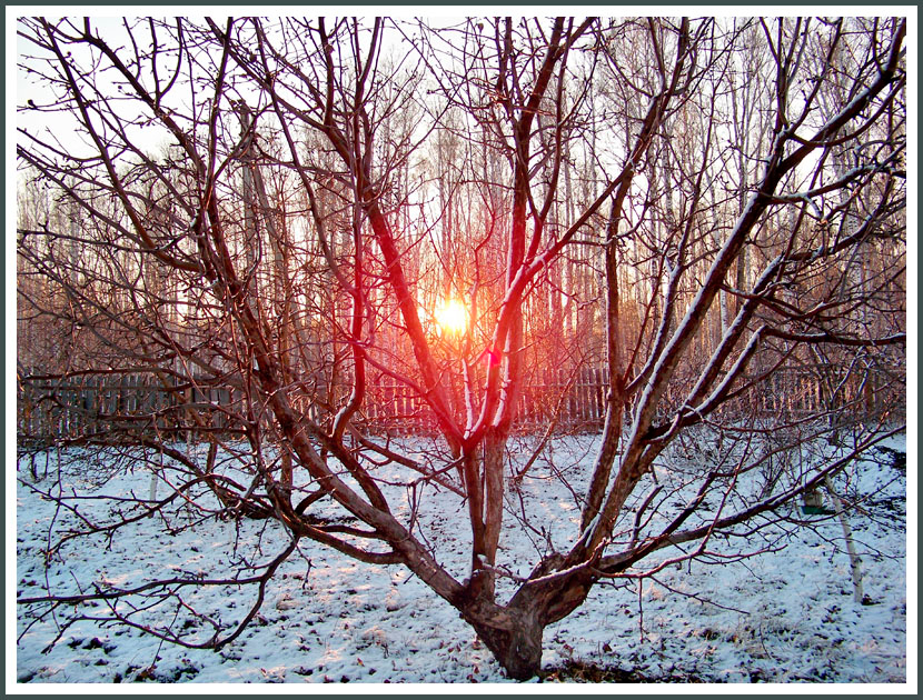 Весенний закат