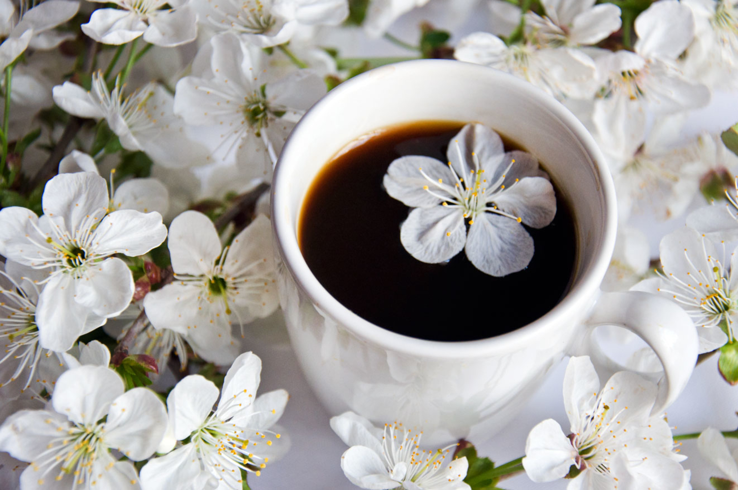 Кофе с ароматом весны 