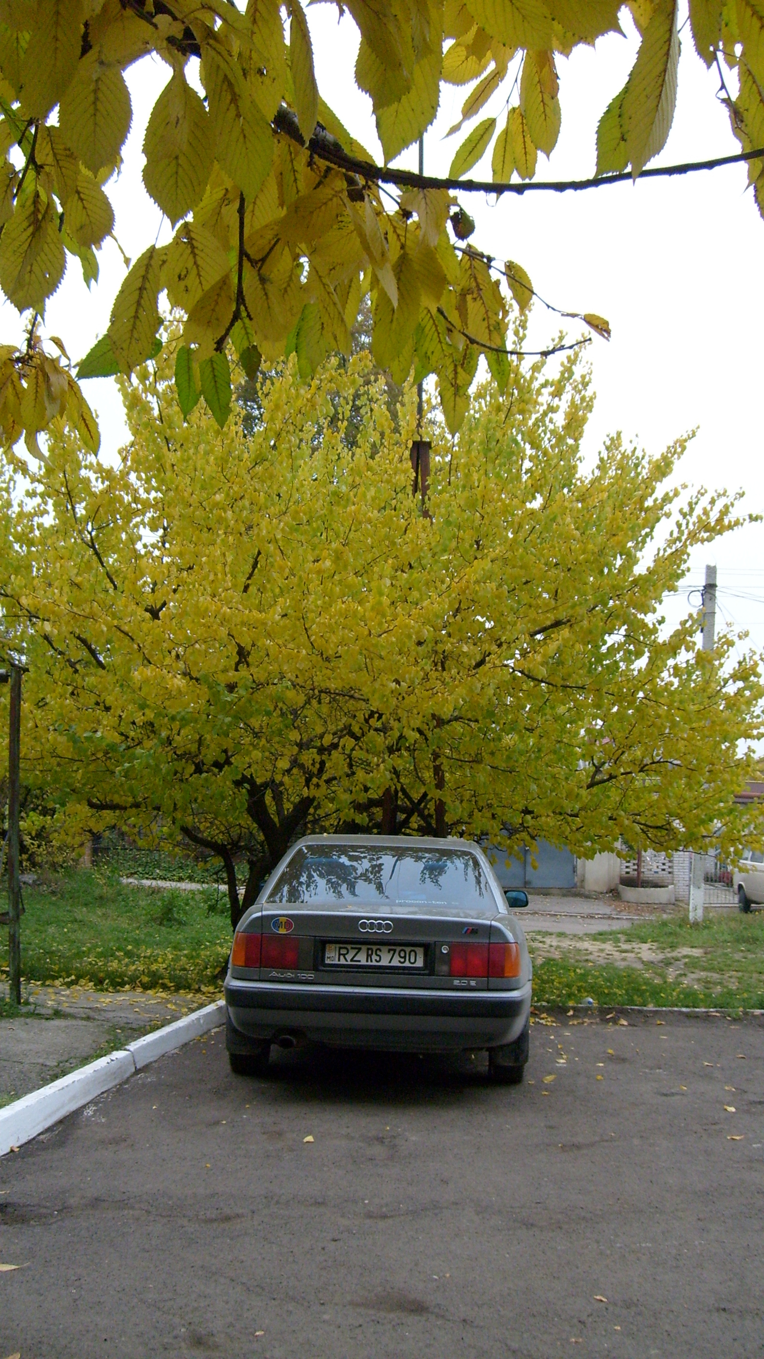 Дом милый дом!!!