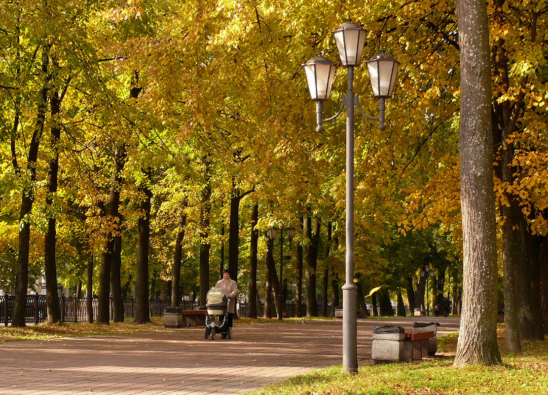 В осеннем золоте