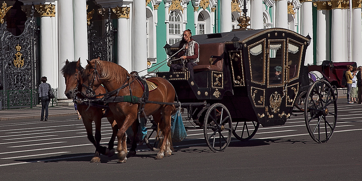 Питерские.