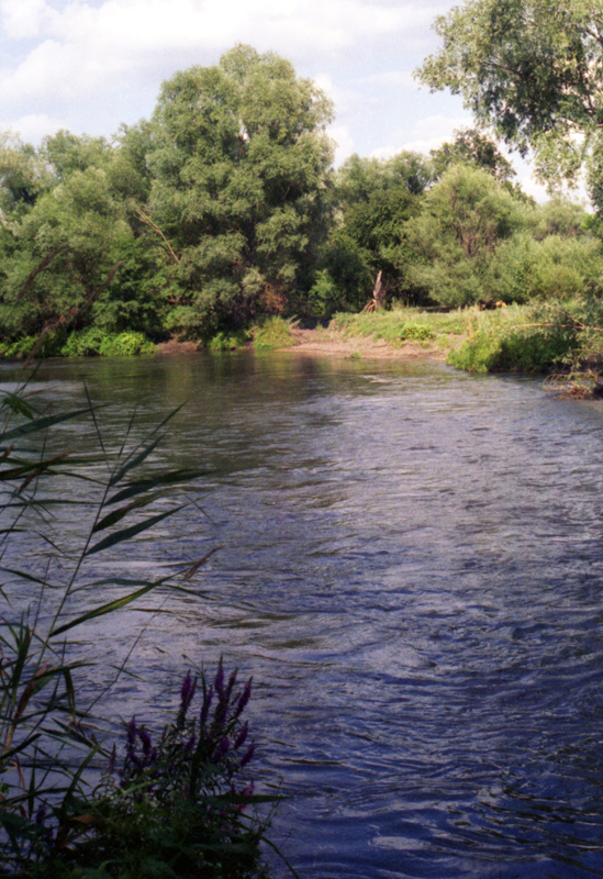 Перекаты, перекаты....