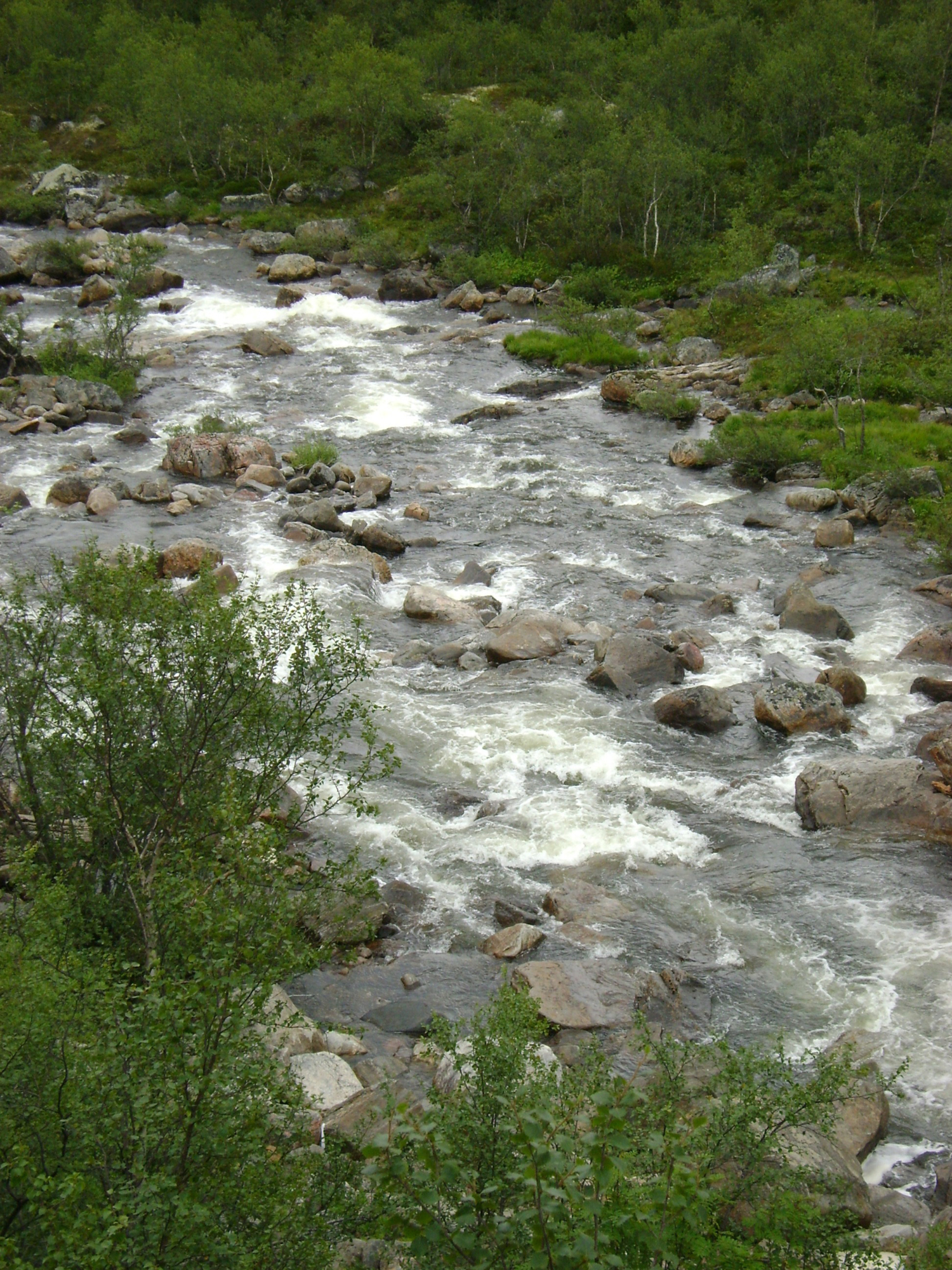 За Полярным кругом. 