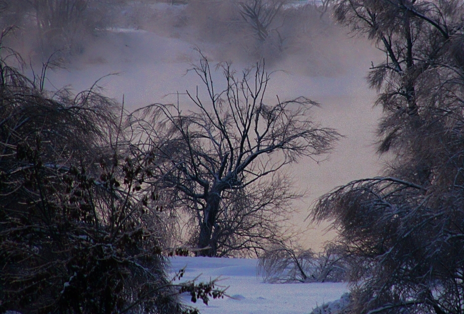 туман над зимней речкой