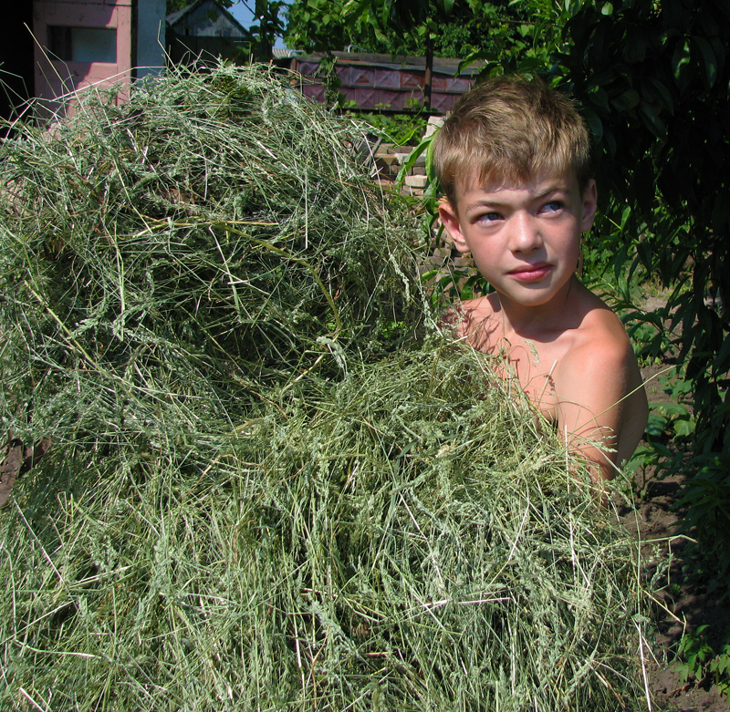 бабушкин помощник )))