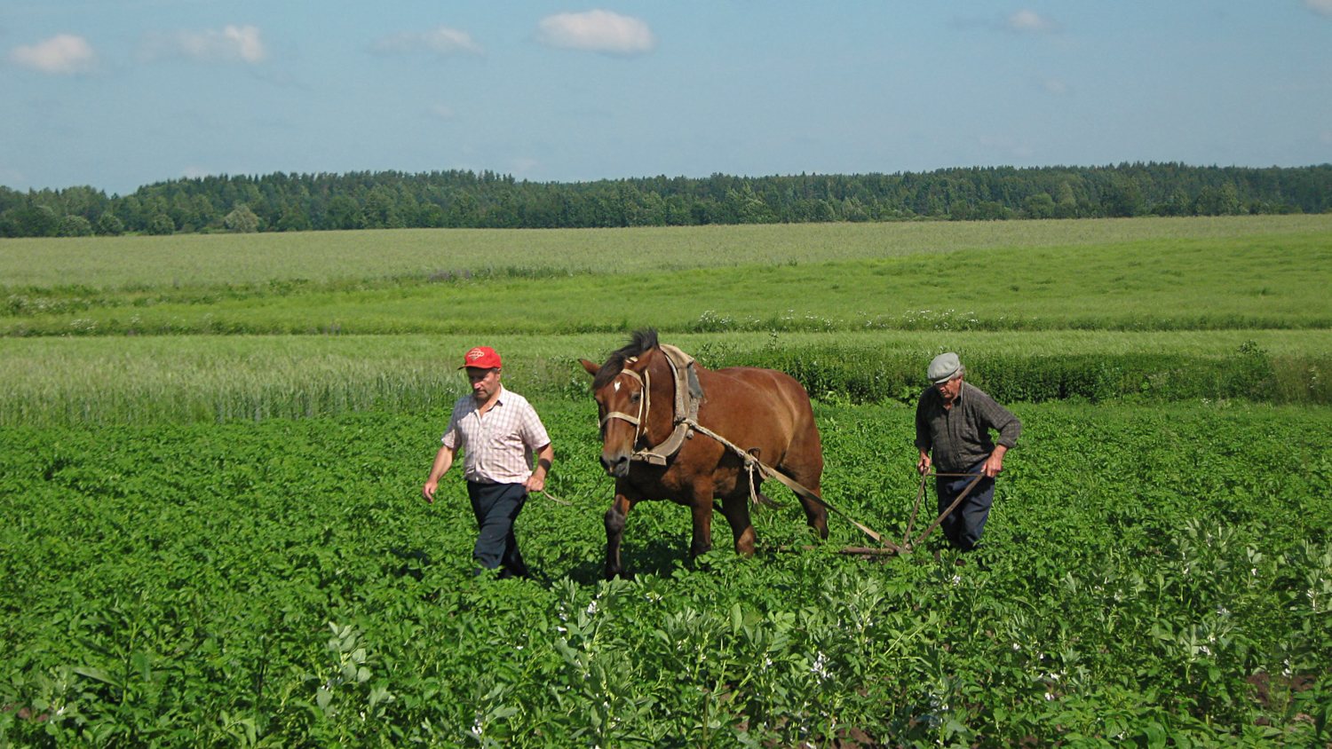 Нелёгкая это работа